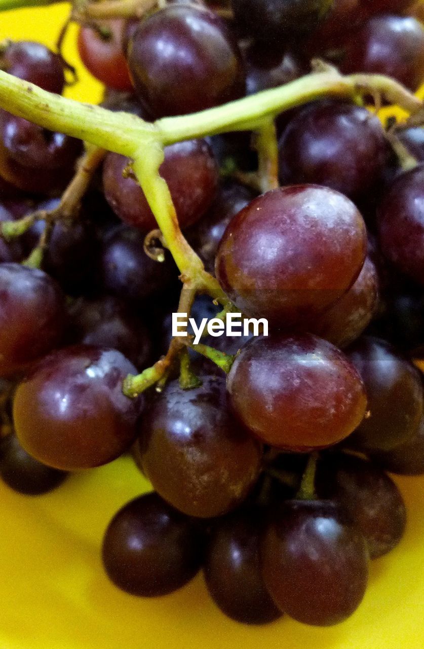 FULL FRAME SHOT OF BLUEBERRIES