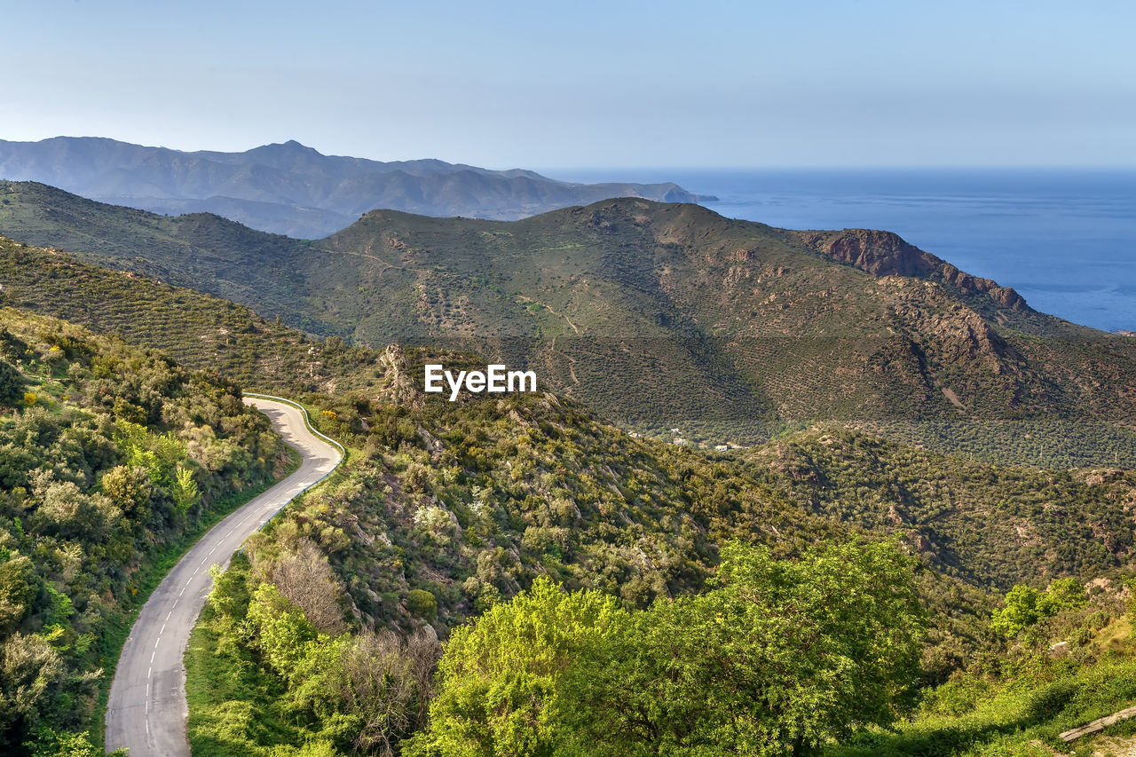 HIGH ANGLE VIEW OF ROAD AMIDST TREES AGAINST SKY