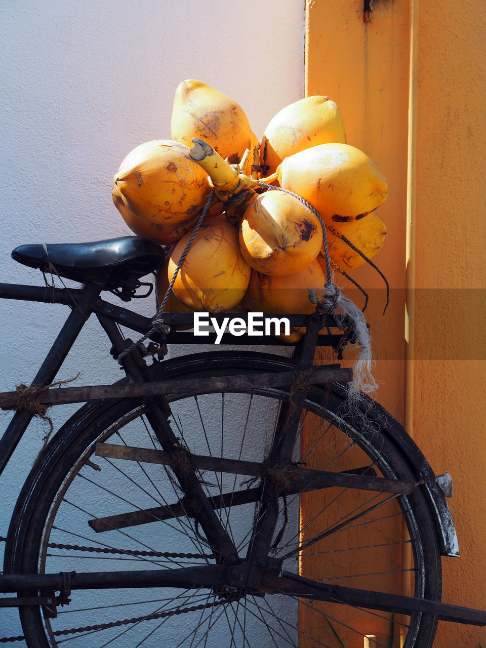 Coconuts on bicycle parked against wall