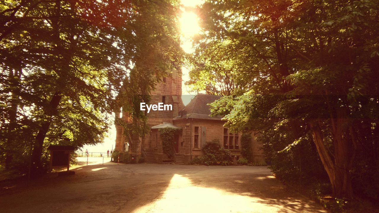 VIEW OF BUILT STRUCTURE WITH TREES IN FOREGROUND