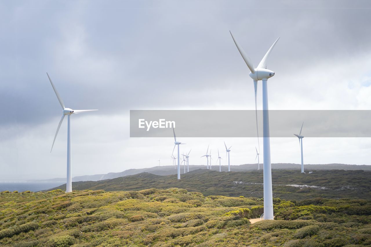 WIND TURBINES ON FIELD