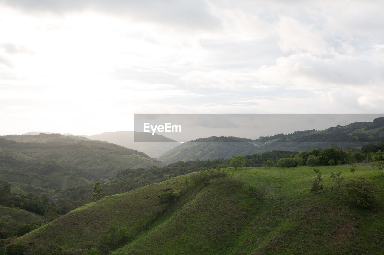 Grassy hill with wooded hills in background