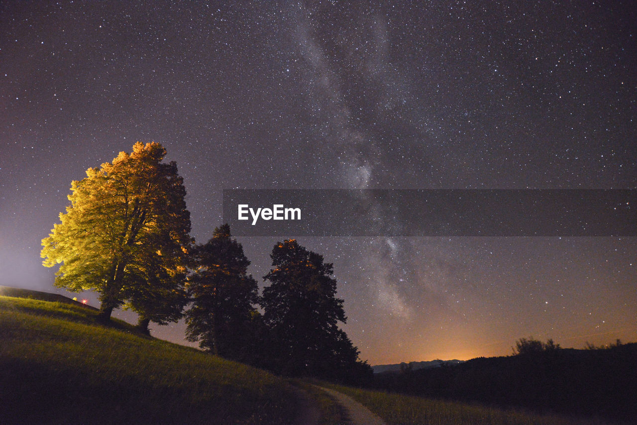 Tilt image of trees on field against star field in sky at night