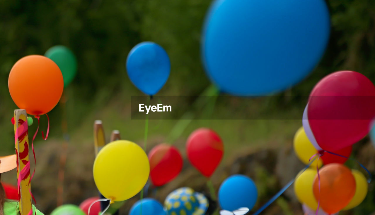 Close-up of colorful balloons