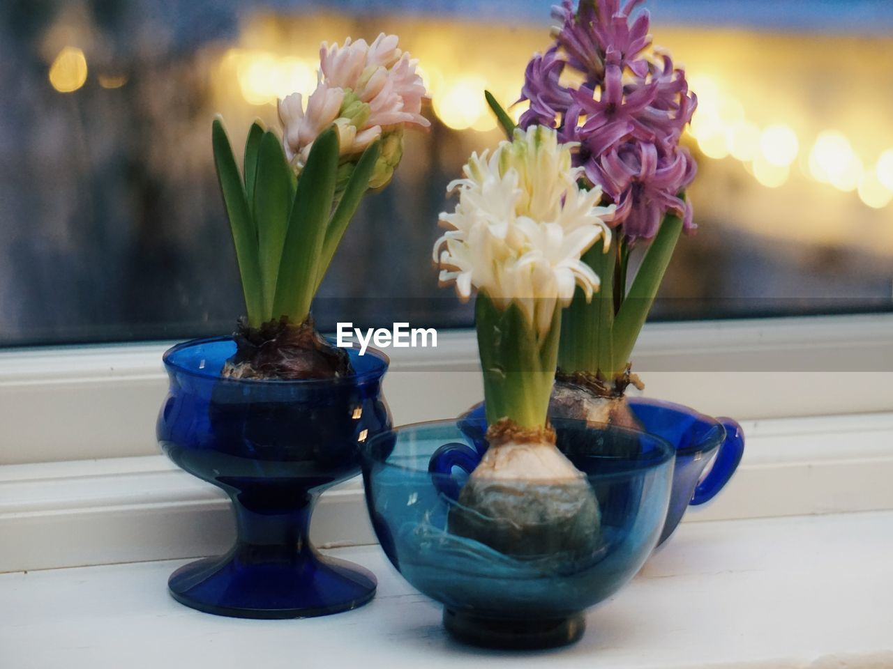 flower, flowering plant, plant, blue, vase, nature, beauty in nature, no people, indoors, freshness, decoration, table, close-up, floristry, focus on foreground, art, flower arrangement, still life, fragility, purple, flower head, window, arrangement, glass