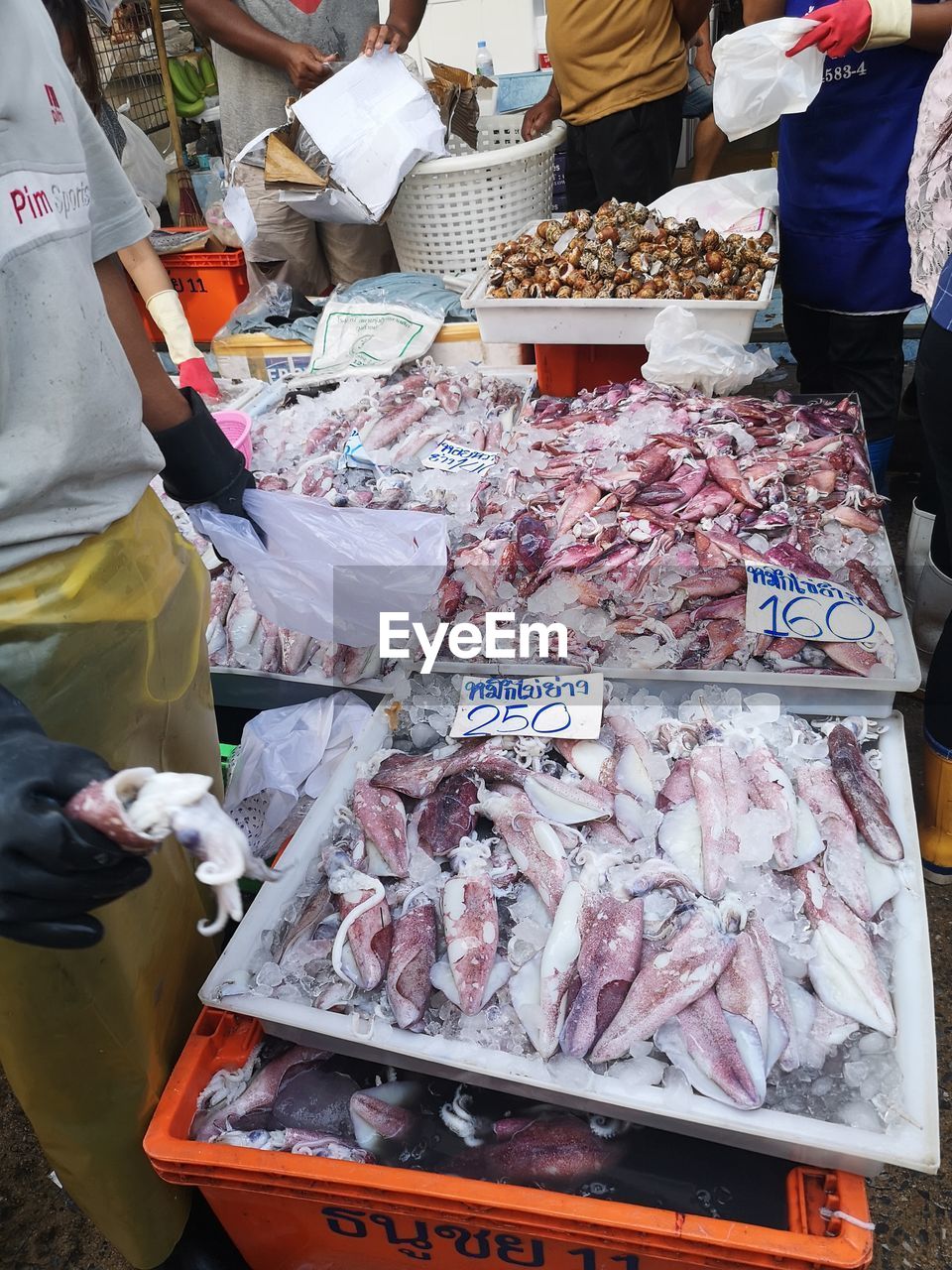 VIEW OF FISH FOR SALE AT MARKET STALL