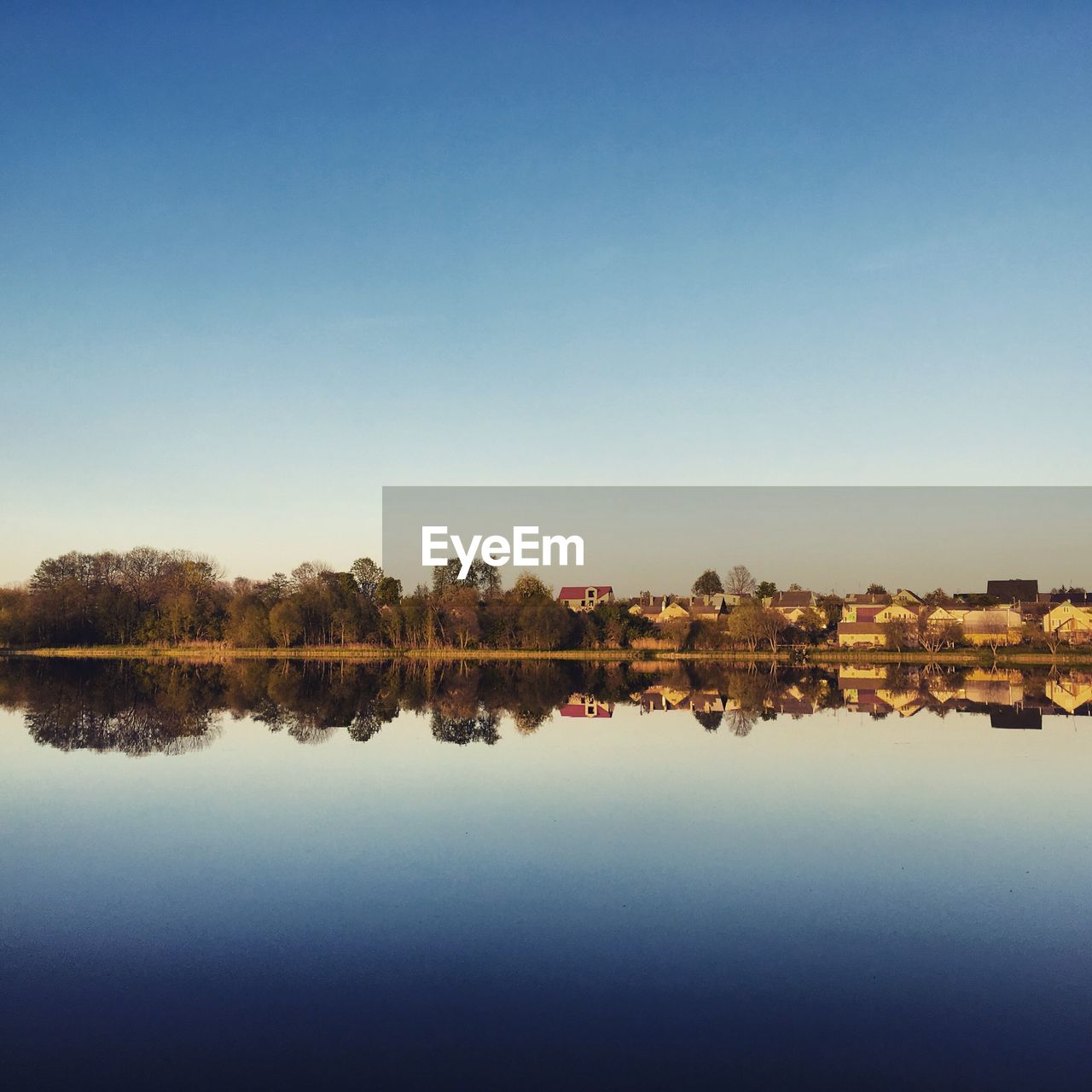 Reflection of trees in lake against clear blue sky