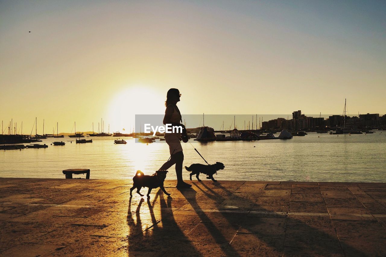 Side view of woman walking with dogs at promenade