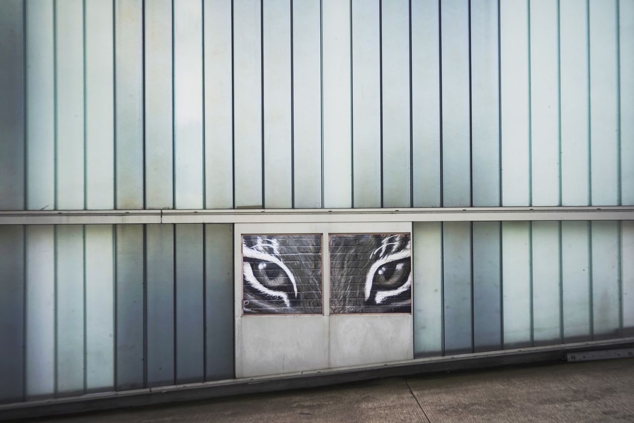 CLOSE-UP OF CLOSED DOOR OF BUILDING