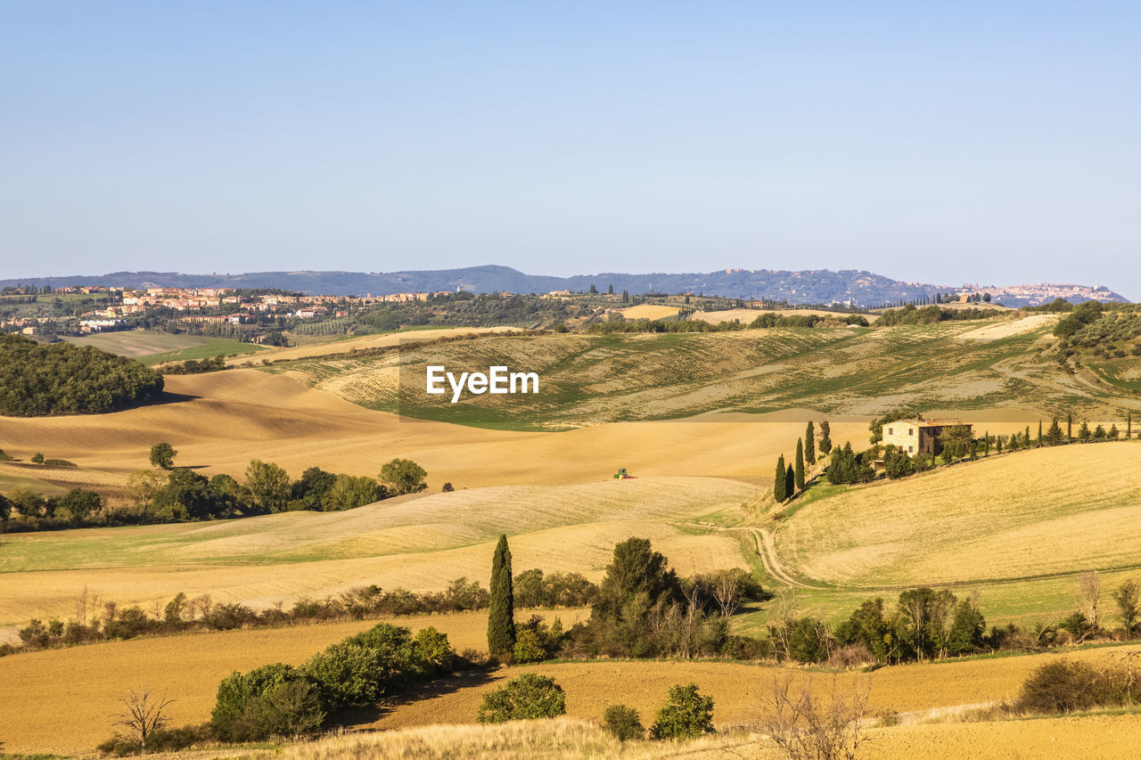 Italy, tuscany, pienza, rural landscape of val dorcia in summer