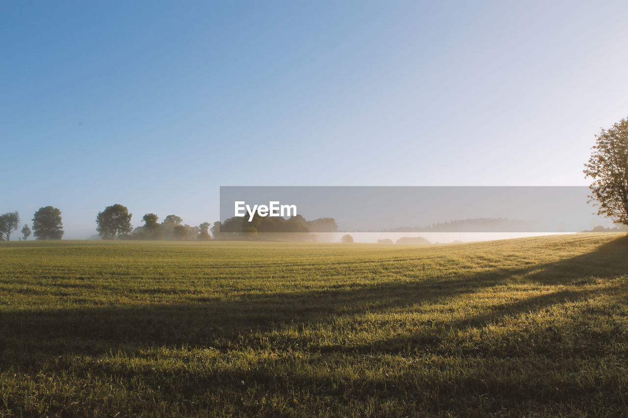 Scenic view of field against clear sky