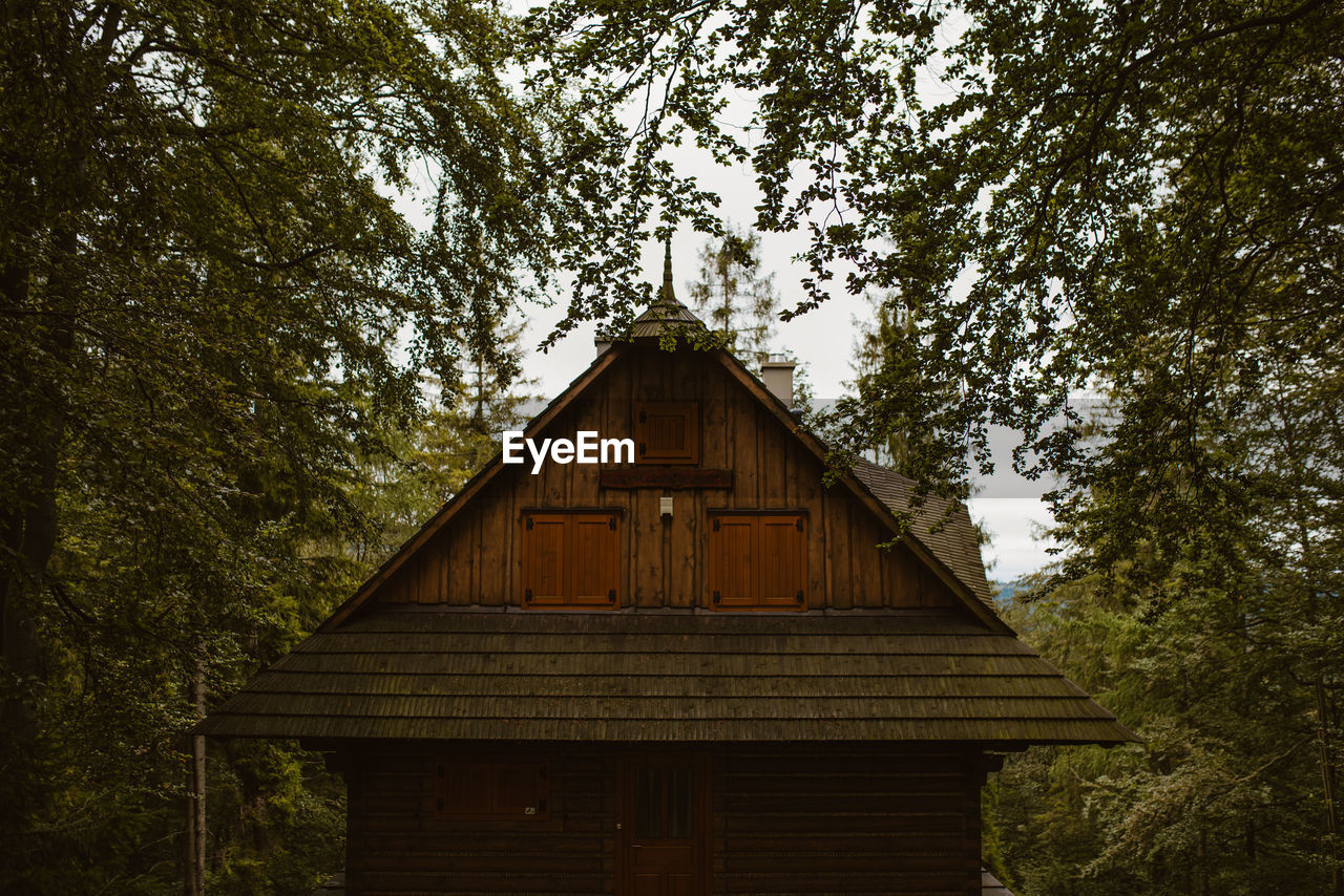 LOW ANGLE VIEW OF COTTAGE IN FOREST