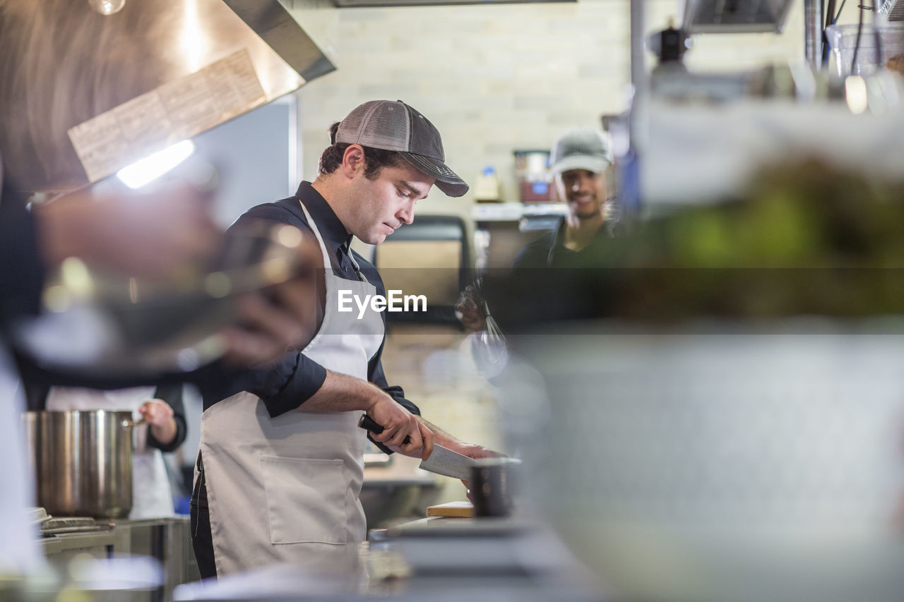 Male chefs working in restaurant kitchen