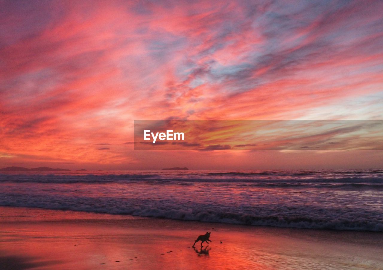 SCENIC VIEW OF SEA AT SUNSET