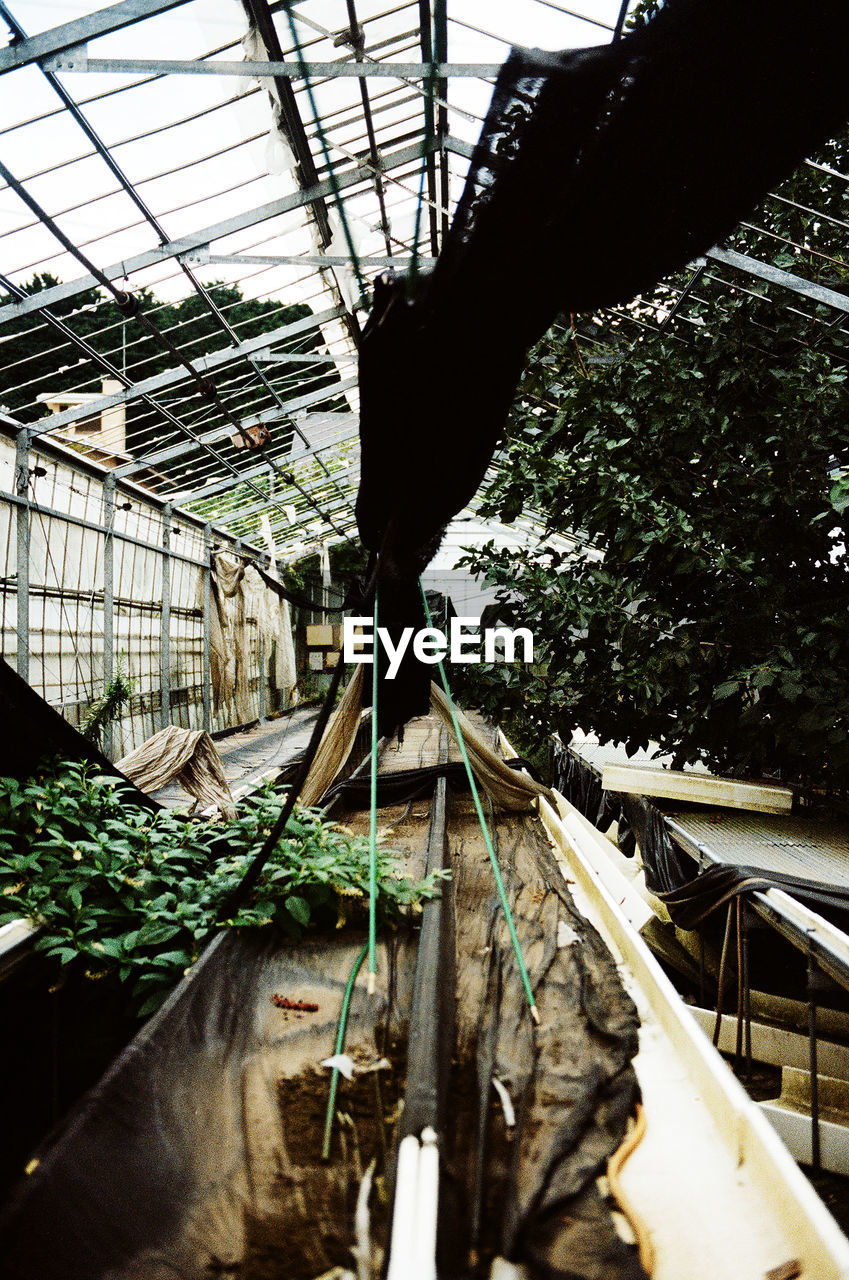 greenhouse Unoccupied  Farm Unoccupied Places Greenhouse Plants Japanese Farm Land The Architect - 2019 EyeEm Awards Plant Architecture Day Greenhouse Tree Transportation Outdoors Nature Growth One Person Water Built Structure Industry Sunlight Mode Of Transportation Plant Nursery Gardening