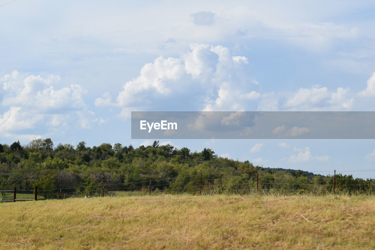 TREES ON FIELD AGAINST CLOUDY SKY