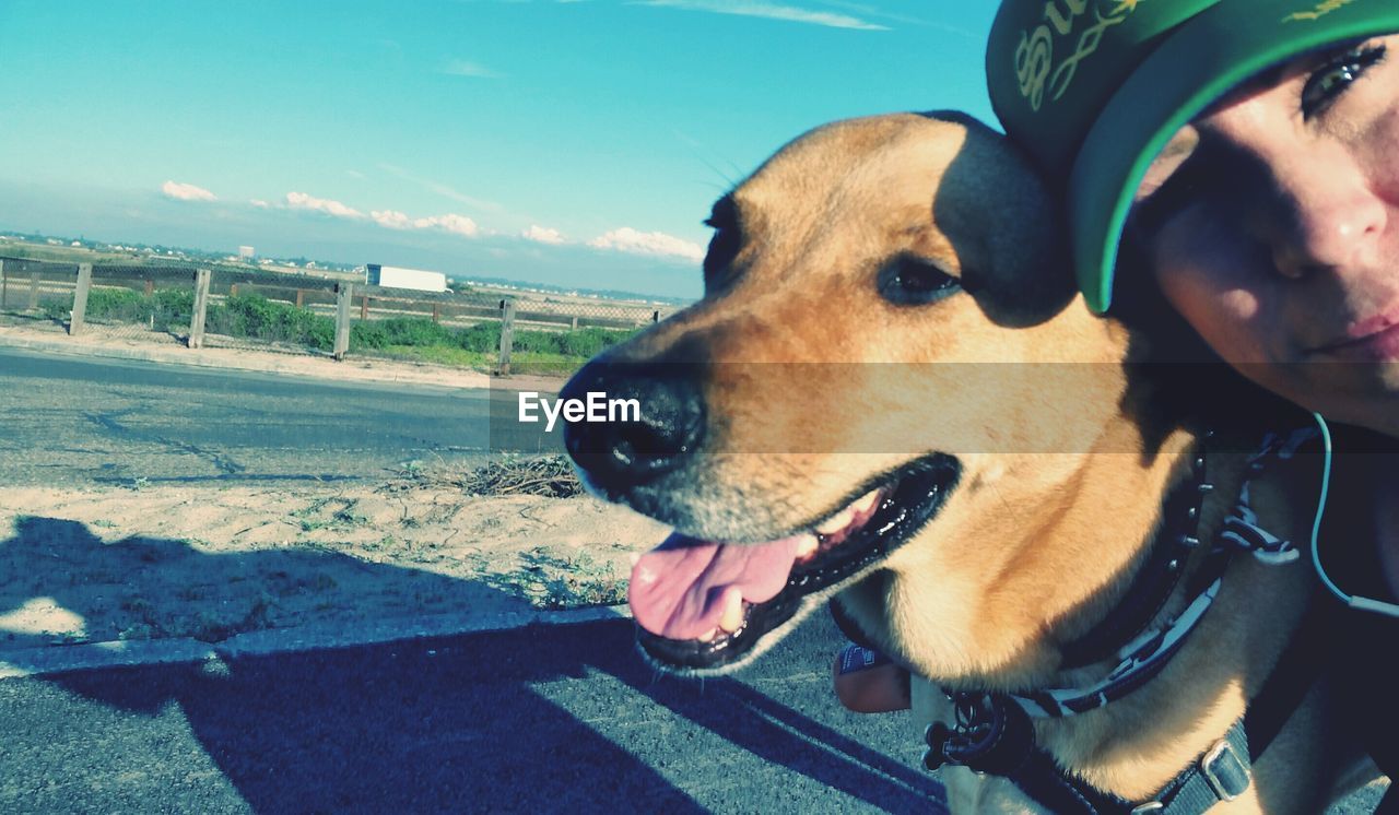 CLOSE-UP PORTRAIT OF DOG