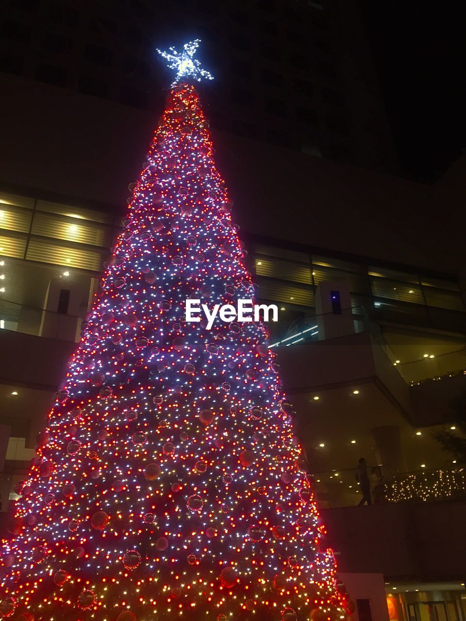 LOW ANGLE VIEW OF ILLUMINATED CHRISTMAS TREE