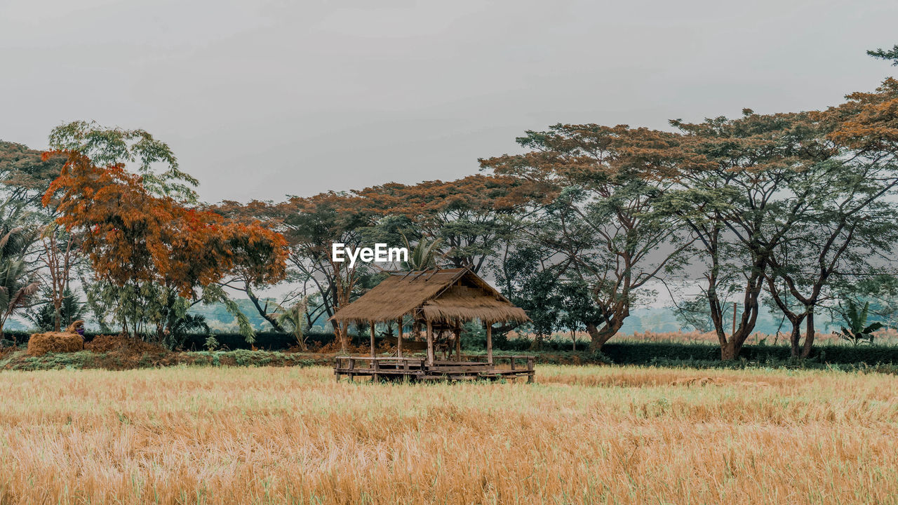 House on field by trees against sky