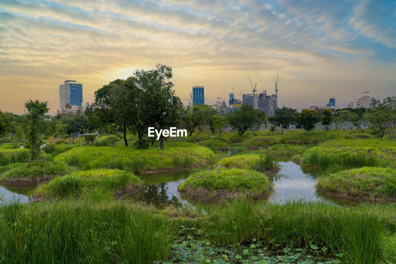 View of benjakitti forest park, is new landmark public park of central bangkok with sunset skyline.