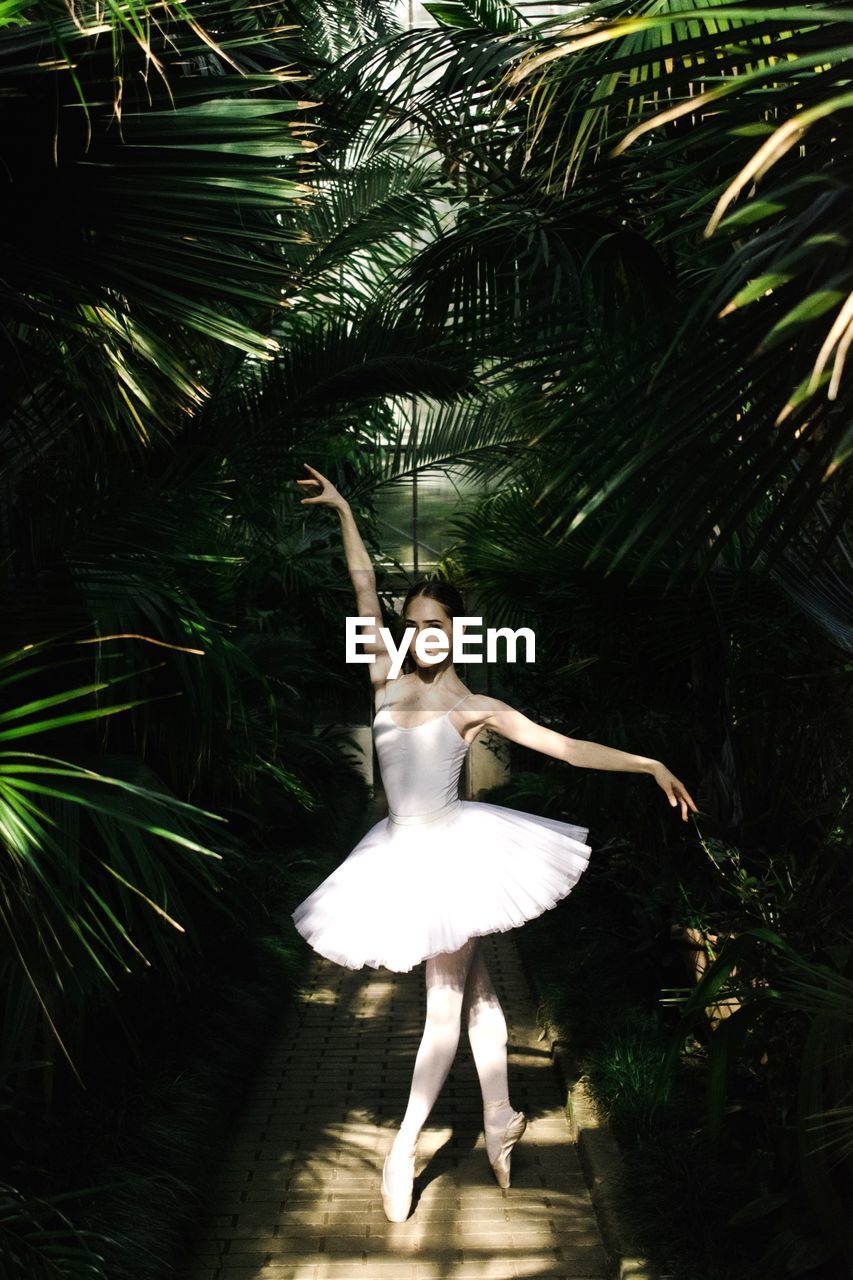 Portrait of ballet dancer dancing amidst palm trees