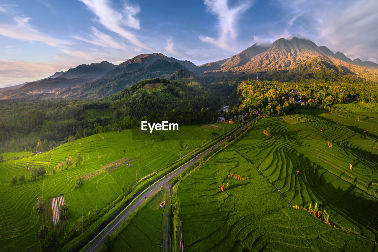 Indonesia's natural scenery with mountain ranges and rice fields farming area