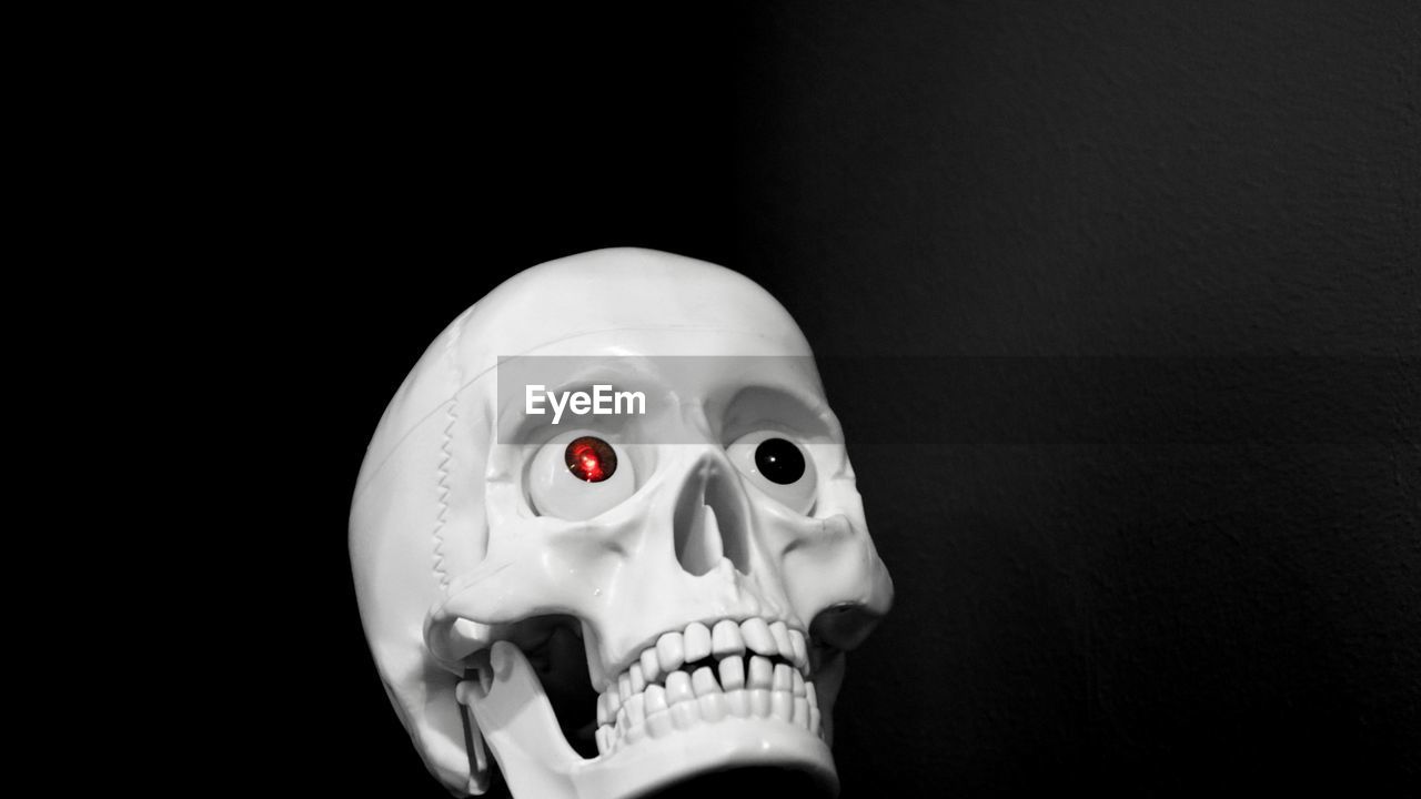 Close-up of skull against black background
