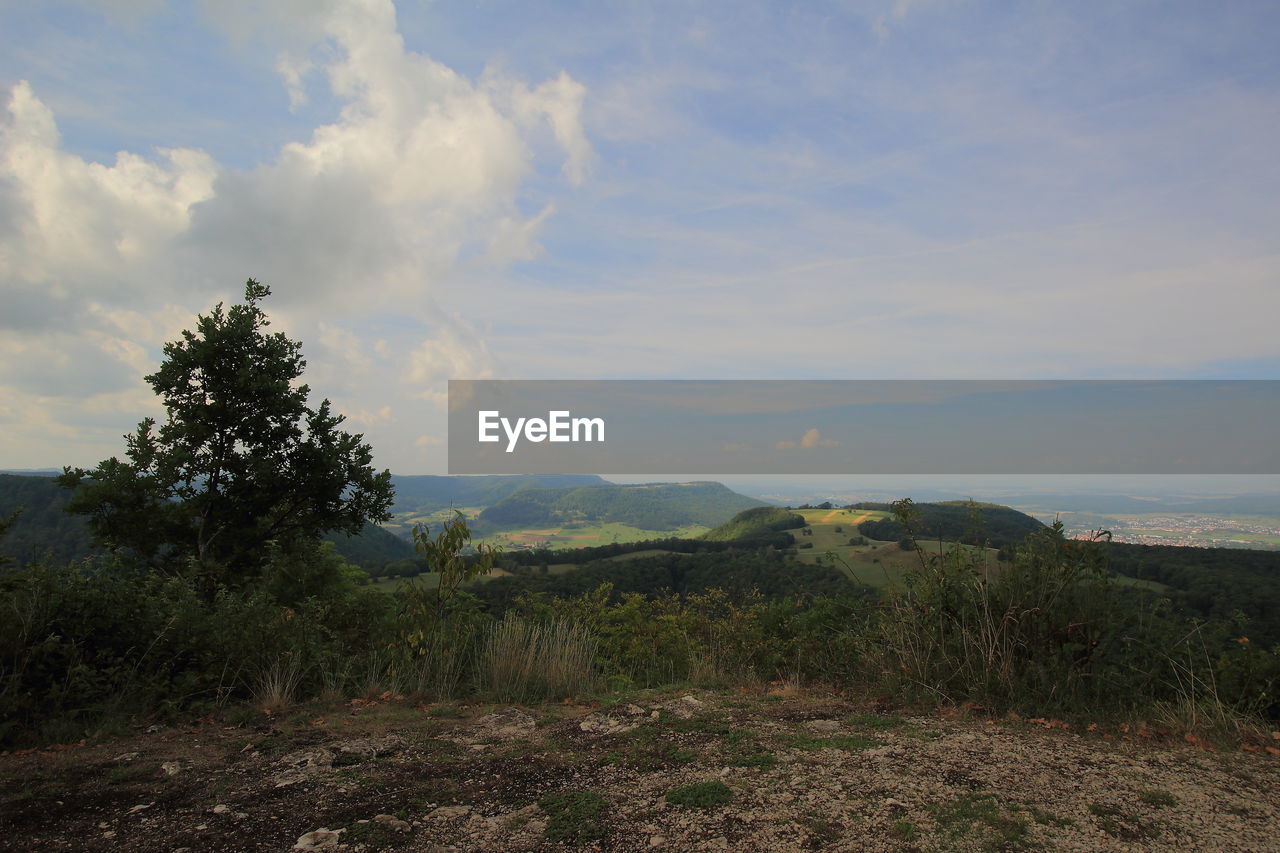 sky, hill, plant, cloud, scenics - nature, tree, beauty in nature, landscape, nature, environment, tranquility, land, tranquil scene, rural area, wilderness, natural environment, growth, no people, non-urban scene, ridge, day, outdoors, field, horizon, morning, grass, plateau, idyllic, remote