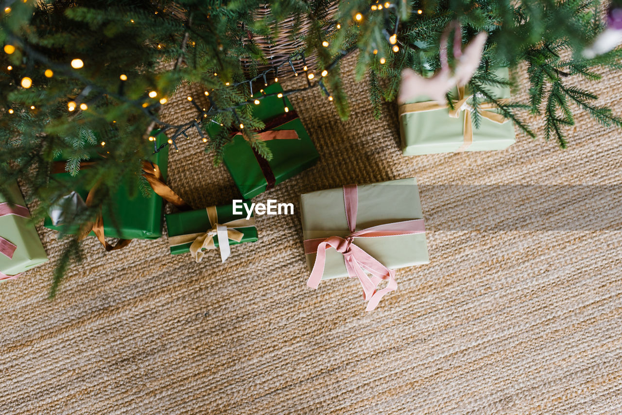 Gift boxes under small and big christmas trees at home