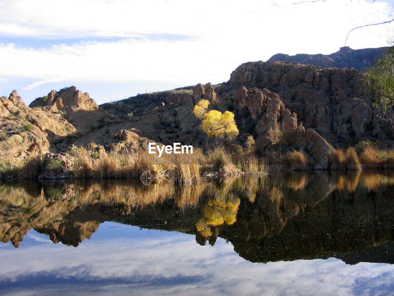 Plants on rocks reflecting in lake against sky