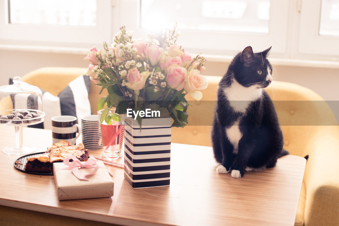 High angle view of flowers by gift with drink on table at home