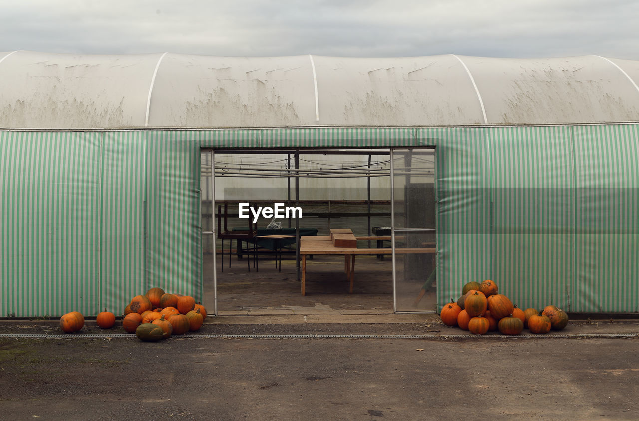 Pumpkins outside warehouse