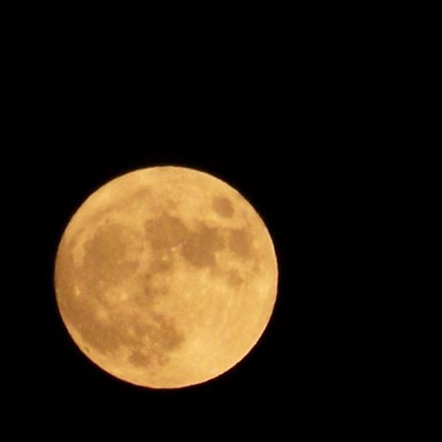 LOW ANGLE VIEW OF MOON IN SKY AT NIGHT