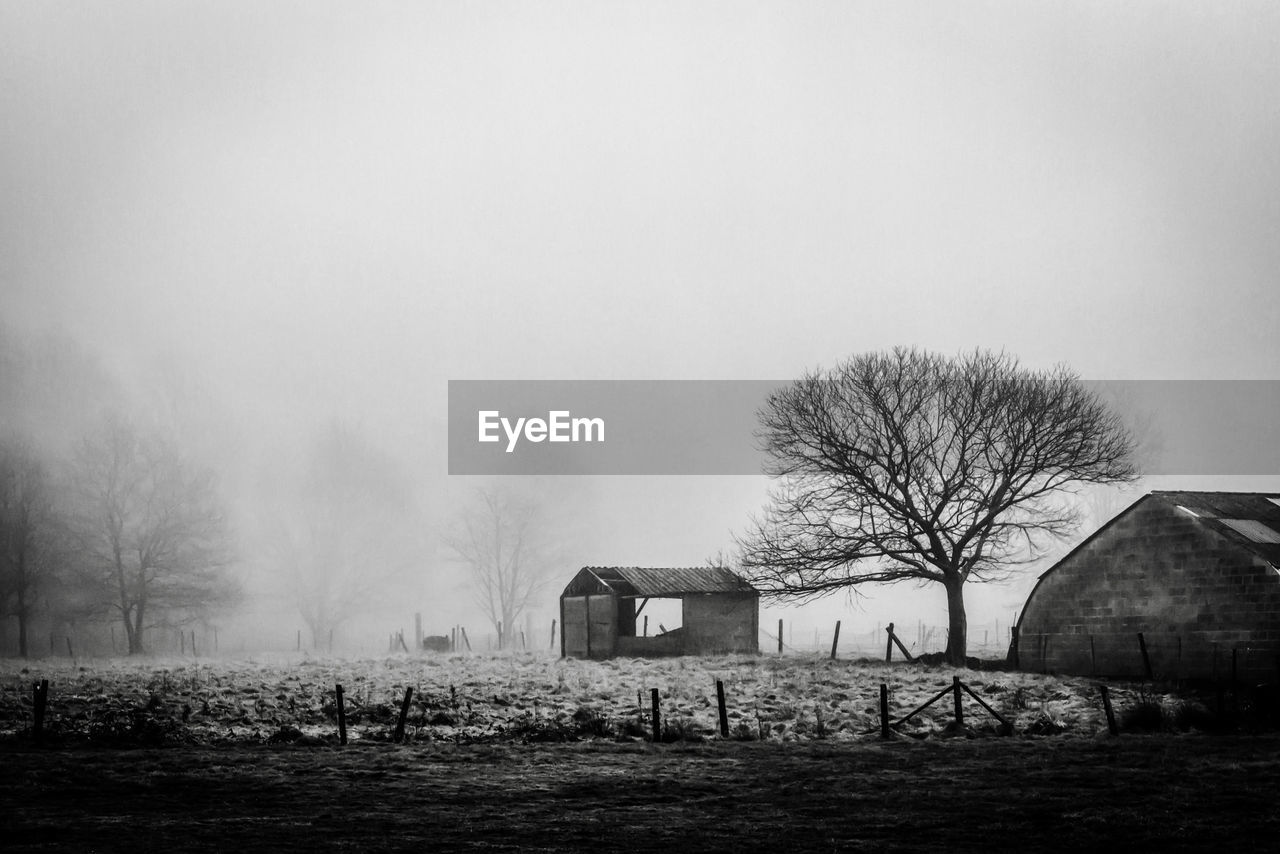 tree, black and white, monochrome, fog, morning, architecture, plant, built structure, nature, monochrome photography, mist, darkness, house, bare tree, building exterior, building, environment, sky, agricultural building, no people, landscape, rural scene, rural area, land, white, field, outdoors, farm, winter, grass, residential district, barn, black, agriculture, day, hut