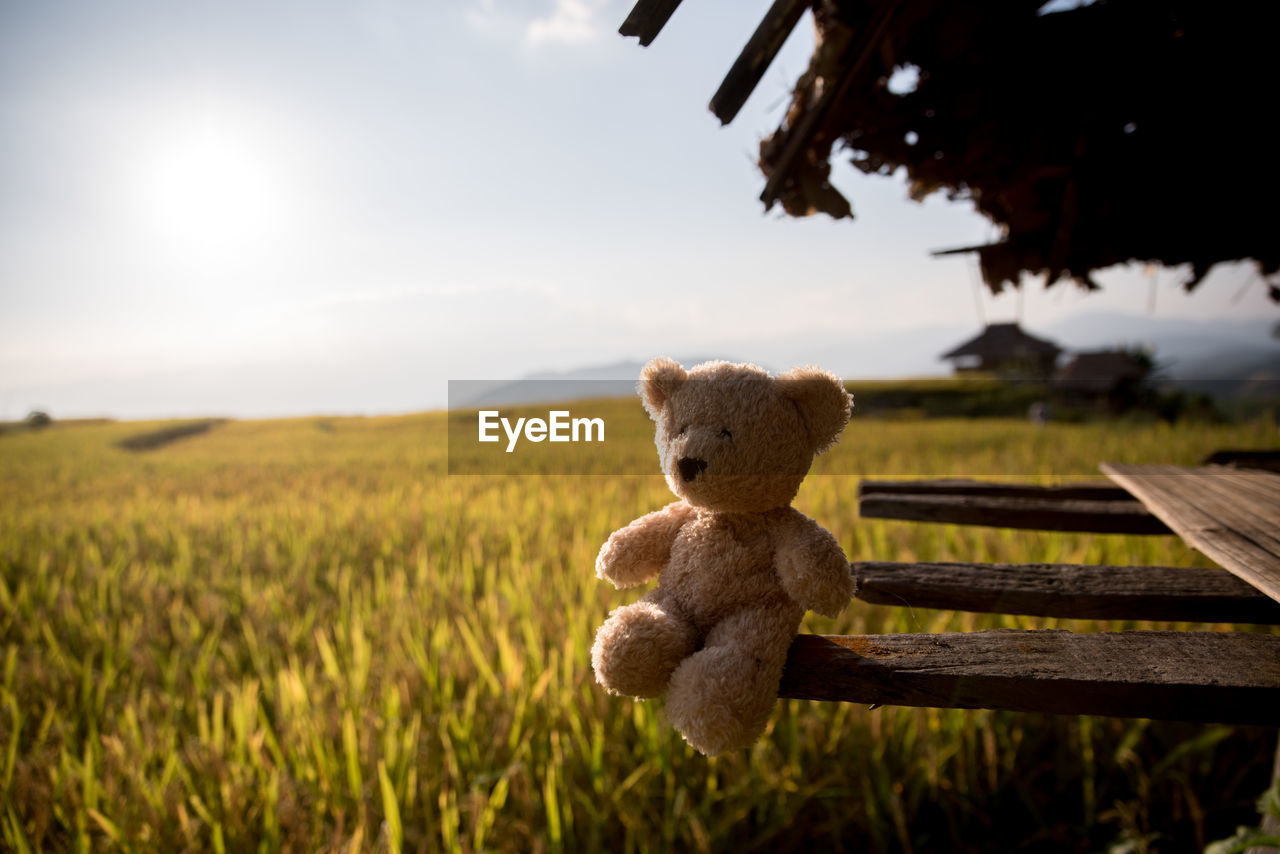 STUFFED TOY ON FIELD AGAINST SKY DURING SUNSET