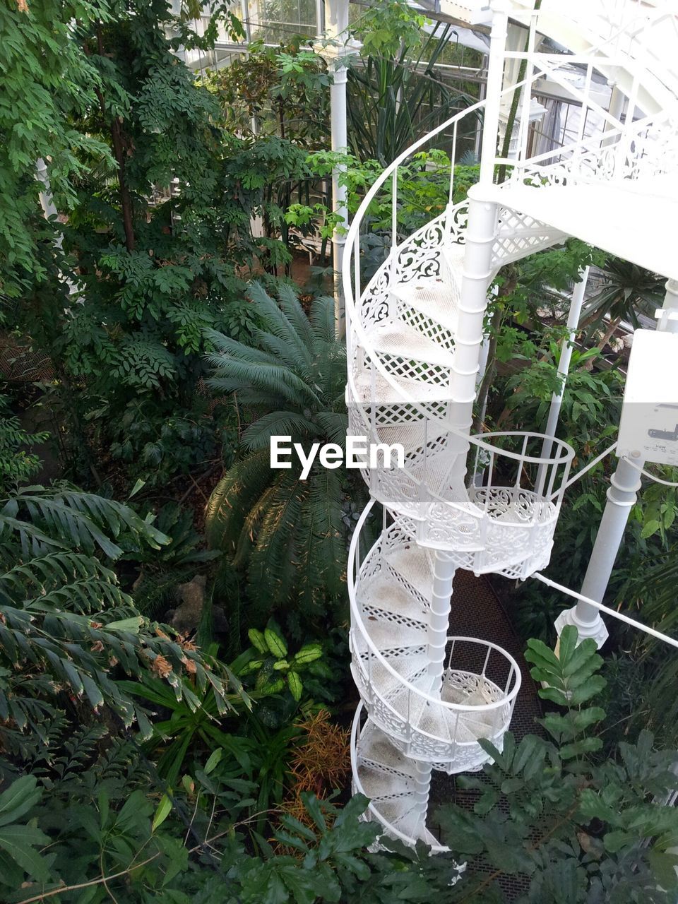 High angle view of spiral staircase in park