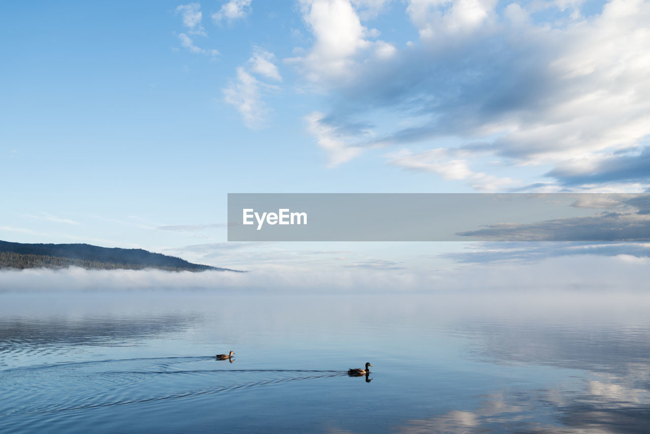 SCENIC VIEW OF LAKE