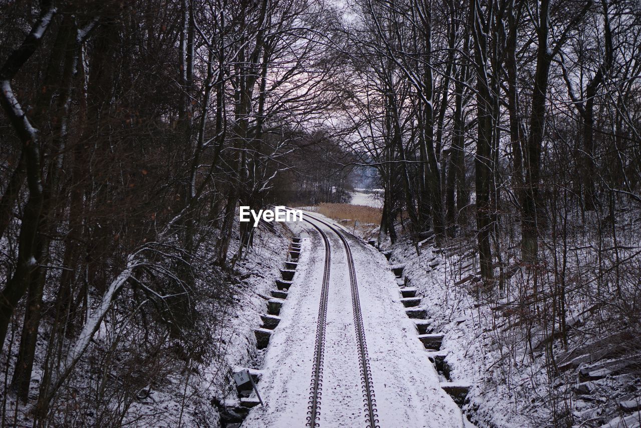 Railroad tracks amidst bare trees during winter