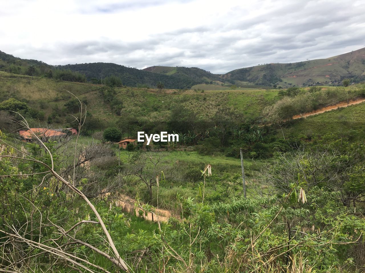 Scenic view of green landscape against sky