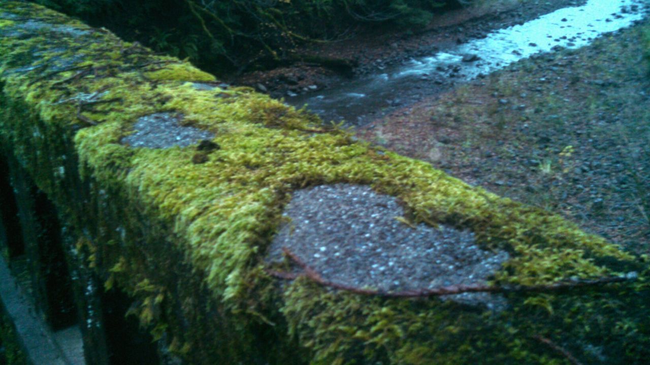 ROCKS IN WATER