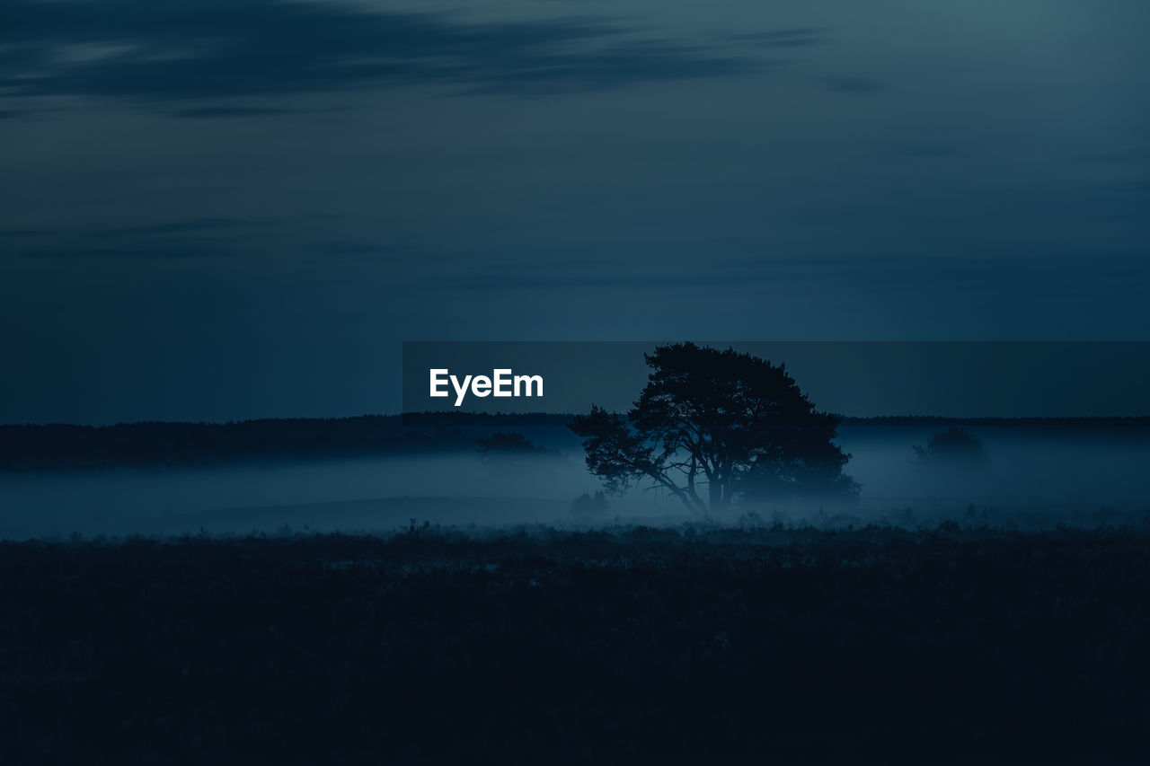 Silhouette trees on landscape against sky