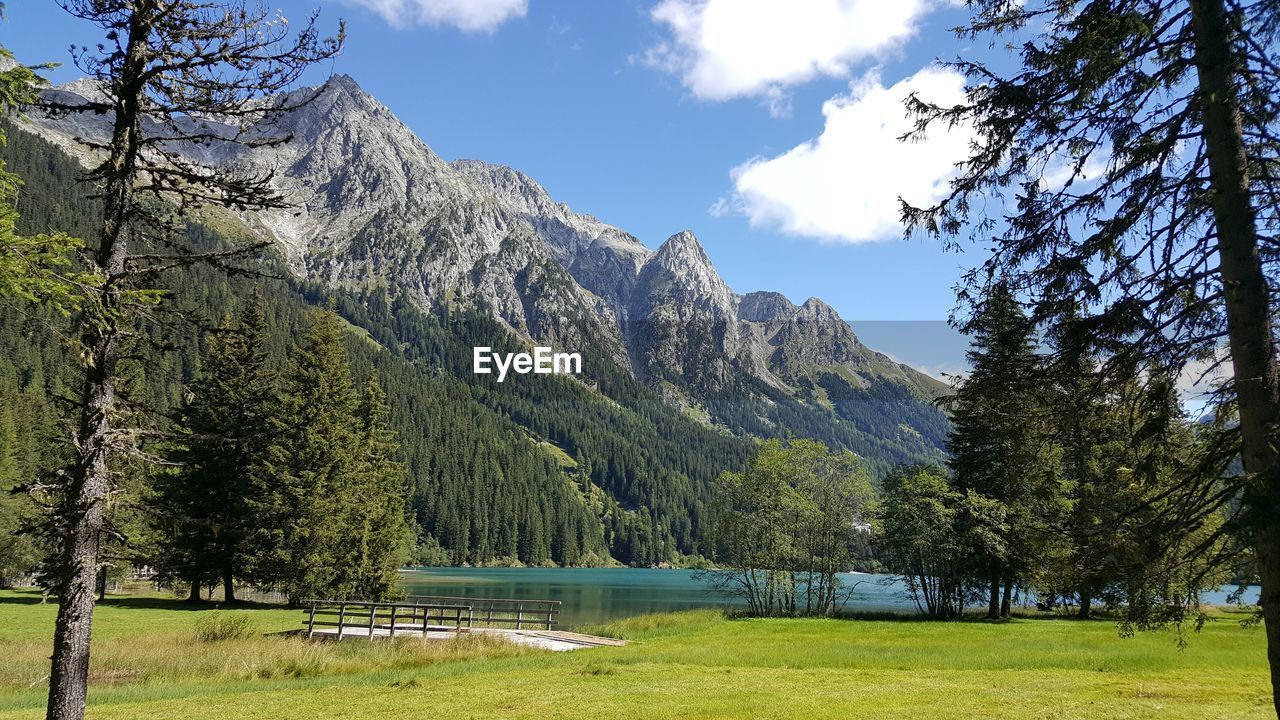 Scenic view of lake by trees against sky