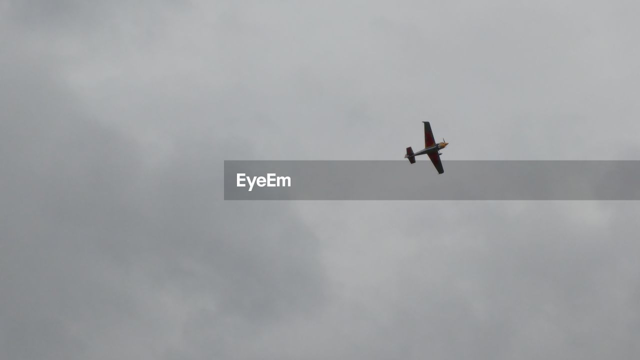 LOW ANGLE VIEW OF BIRD FLYING IN SKY