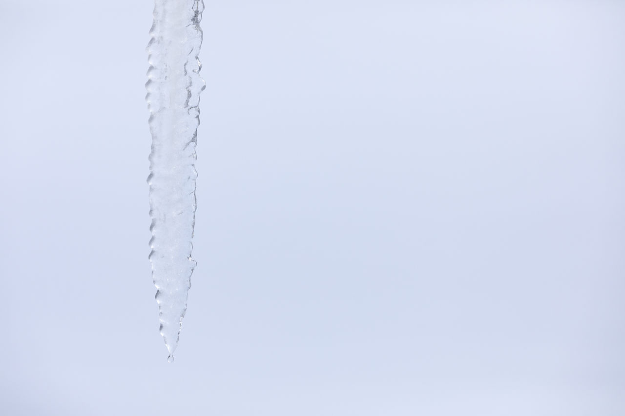 Single melting icicle against white background