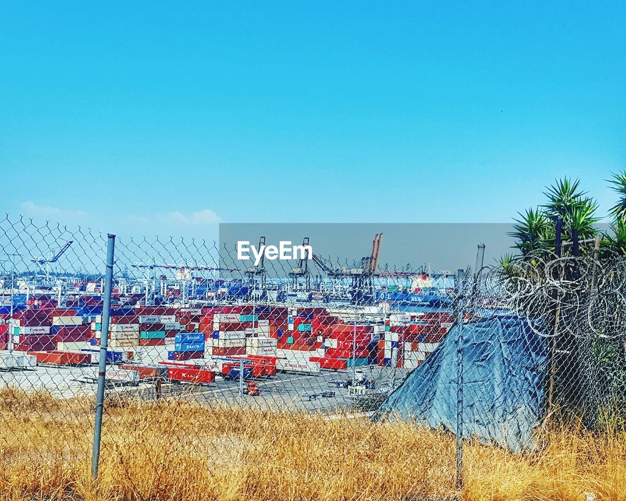 VIEW OF TREES AGAINST CLEAR BLUE SKY