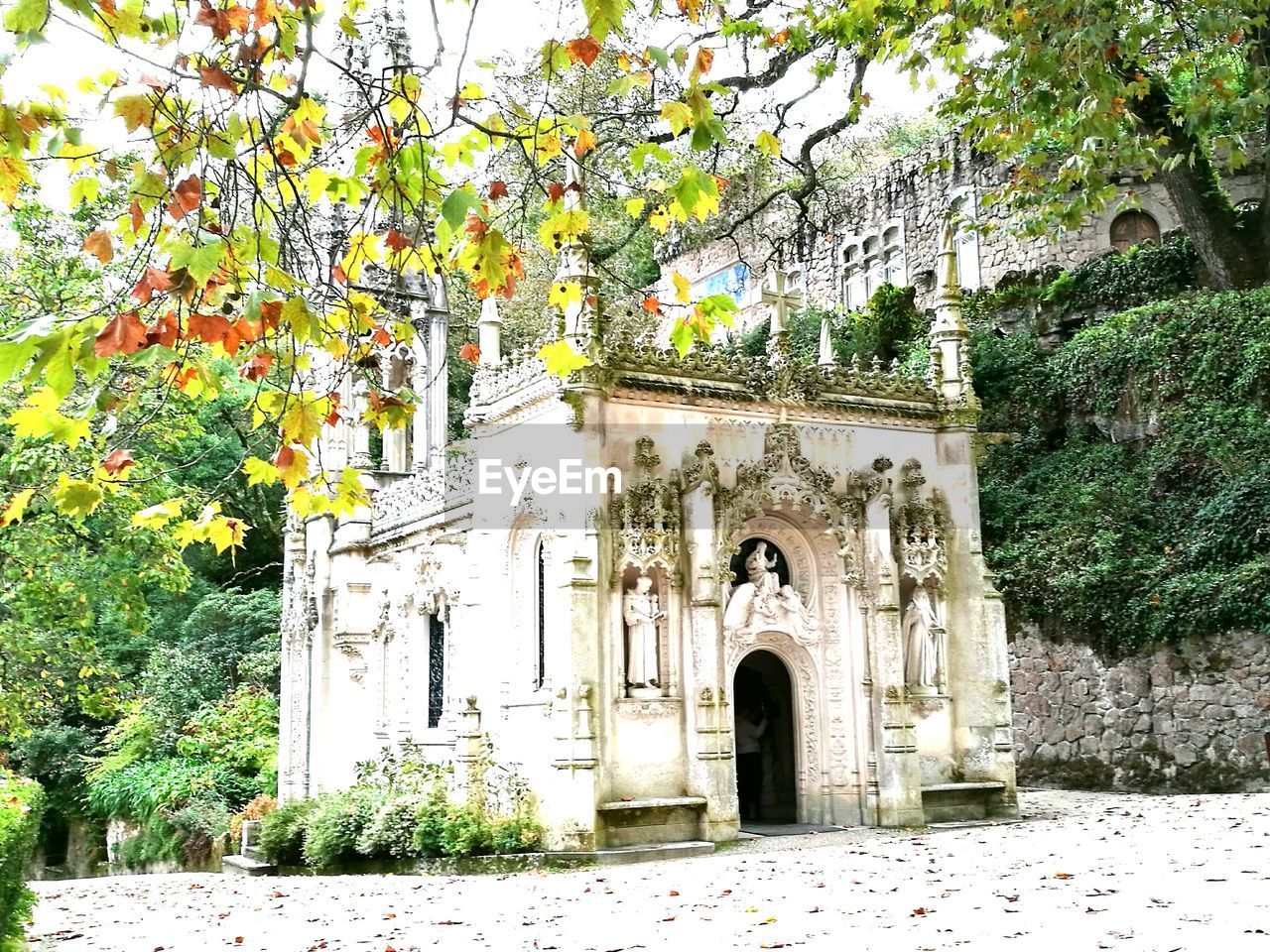 TREES AGAINST TEMPLE