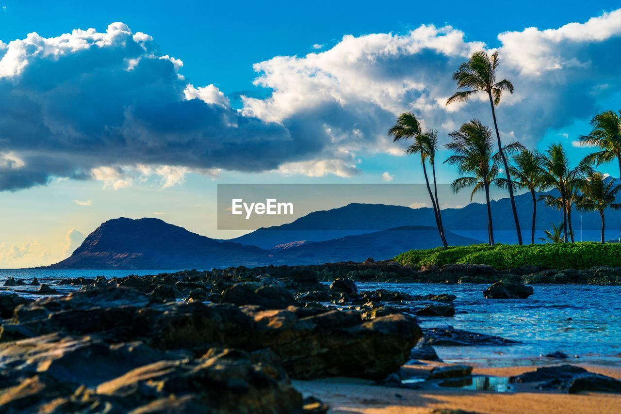 Scenic view of beach against sky