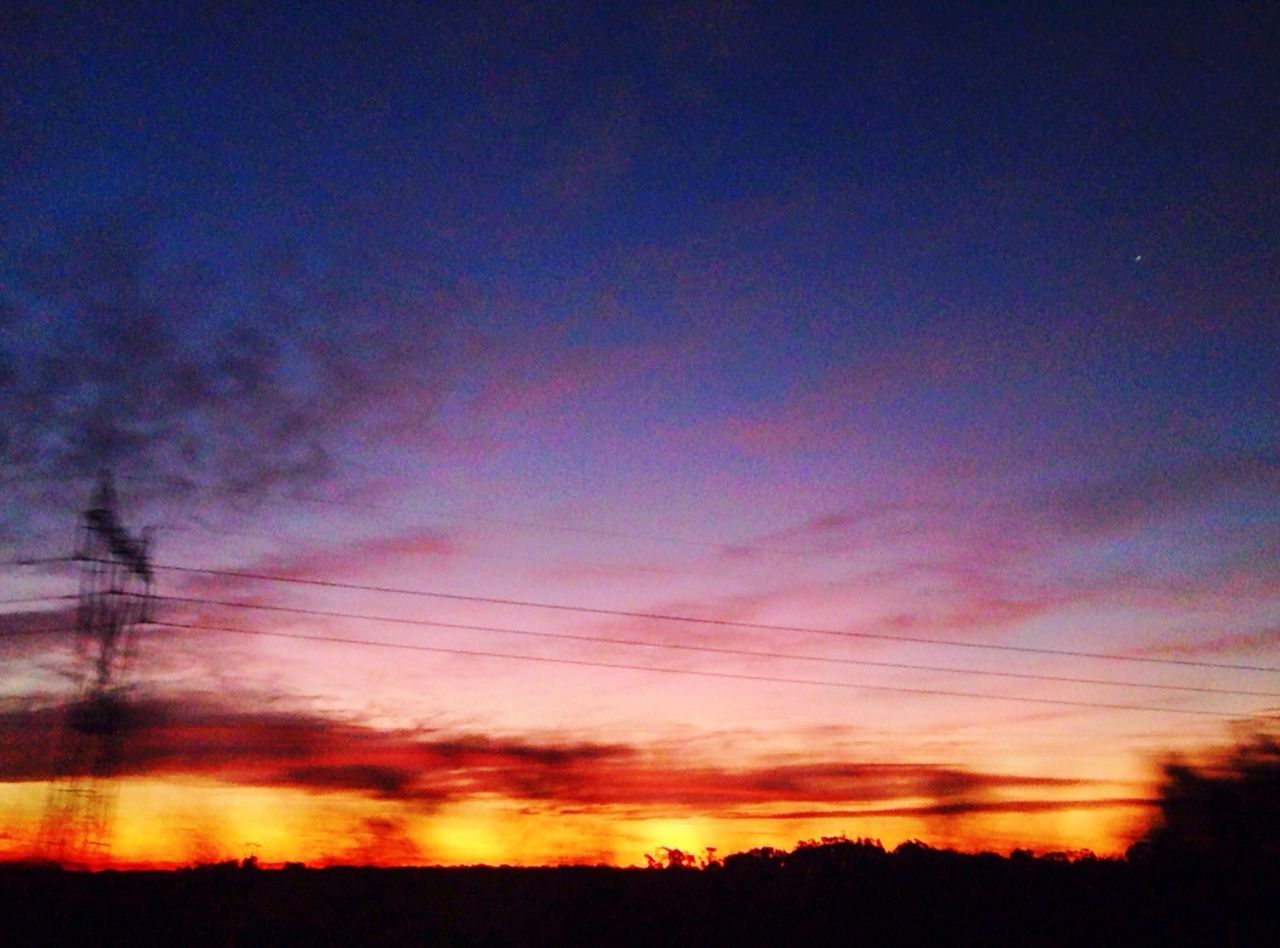 SILHOUETTE OF TREES AT SUNSET