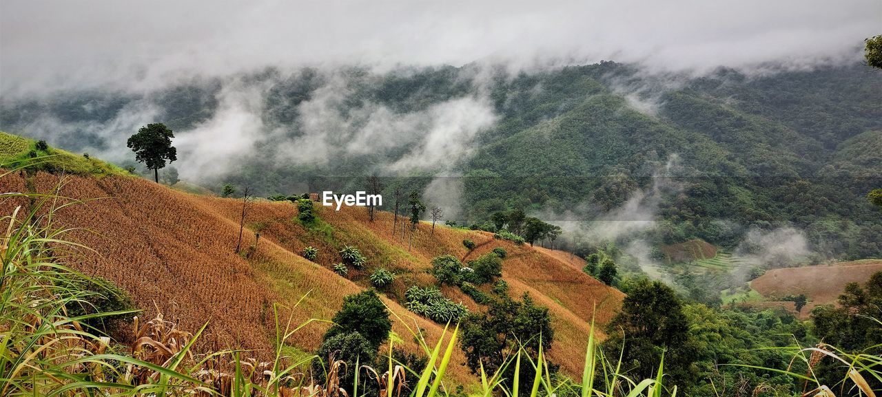 Natural landscape of the mountain