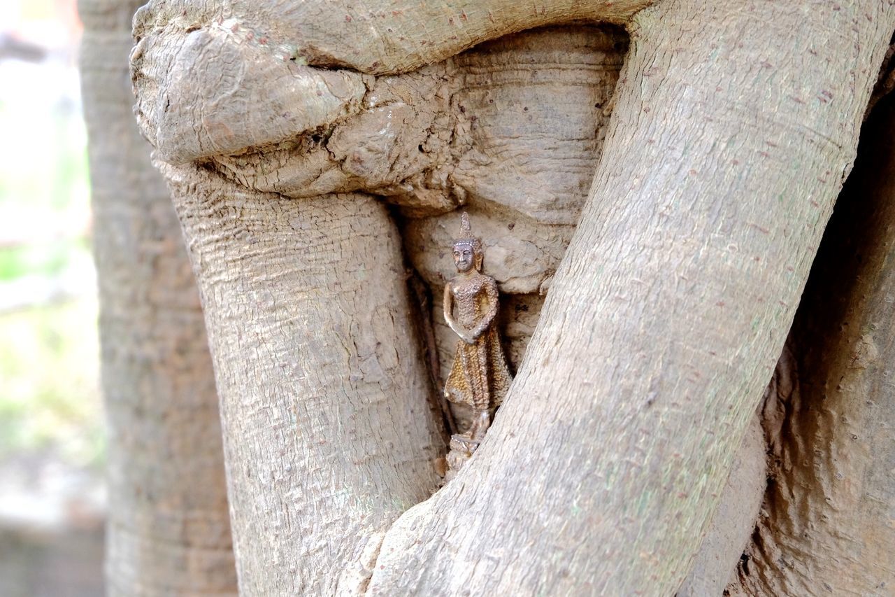 CLOSE-UP OF STATUE